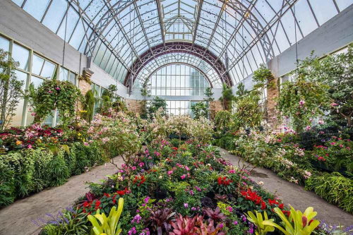 Auckland Domain and the formal Winter Gardens